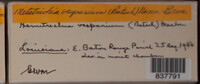 Image Associated With the Occurence
